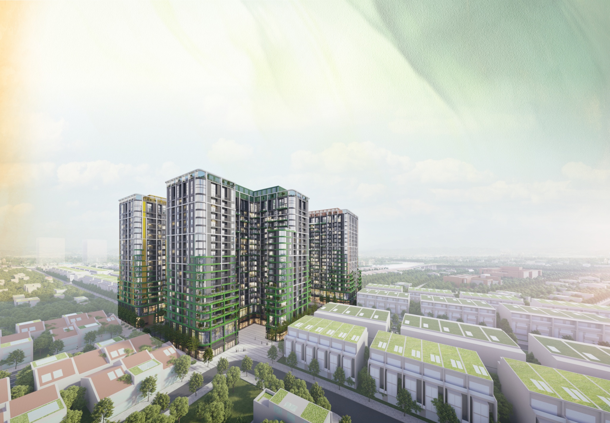 Total area background